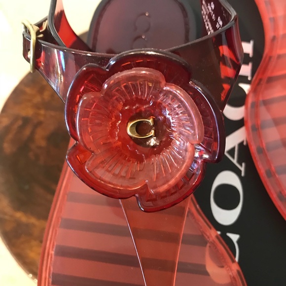 Coach Shoes - NIB COACH JELLY SANDALS